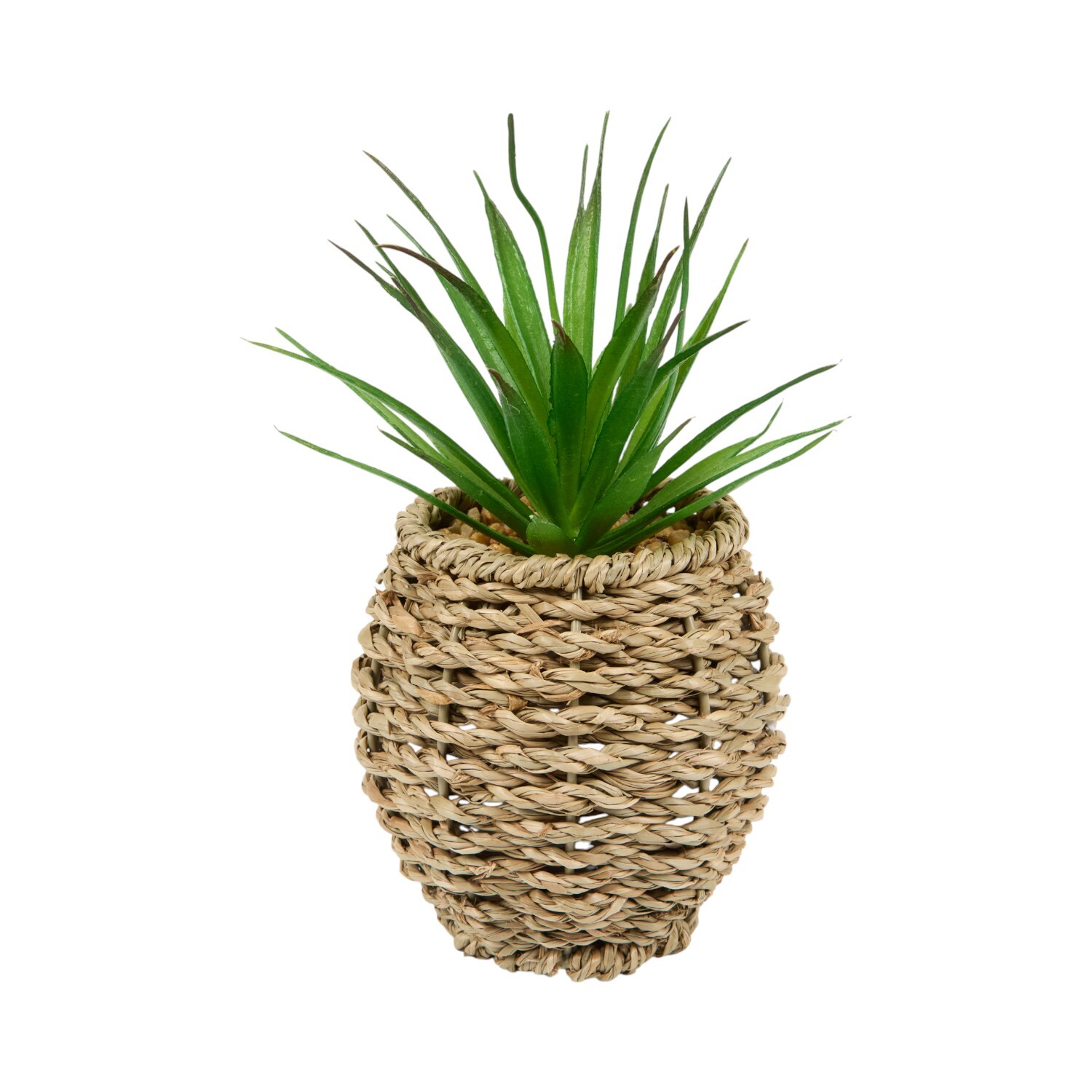 Succulent in Water Hyacinth Pot Natural Image 6