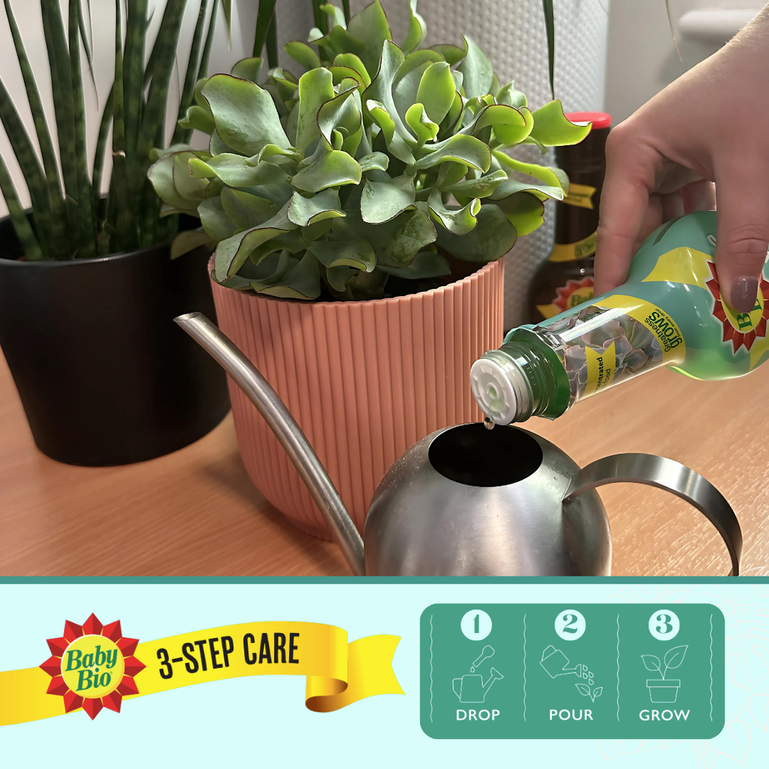 Baby Bio Succulent Food - Green Image 4