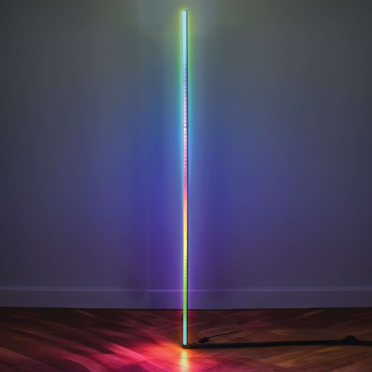 Contemporary LED Floor Lamp Image 2