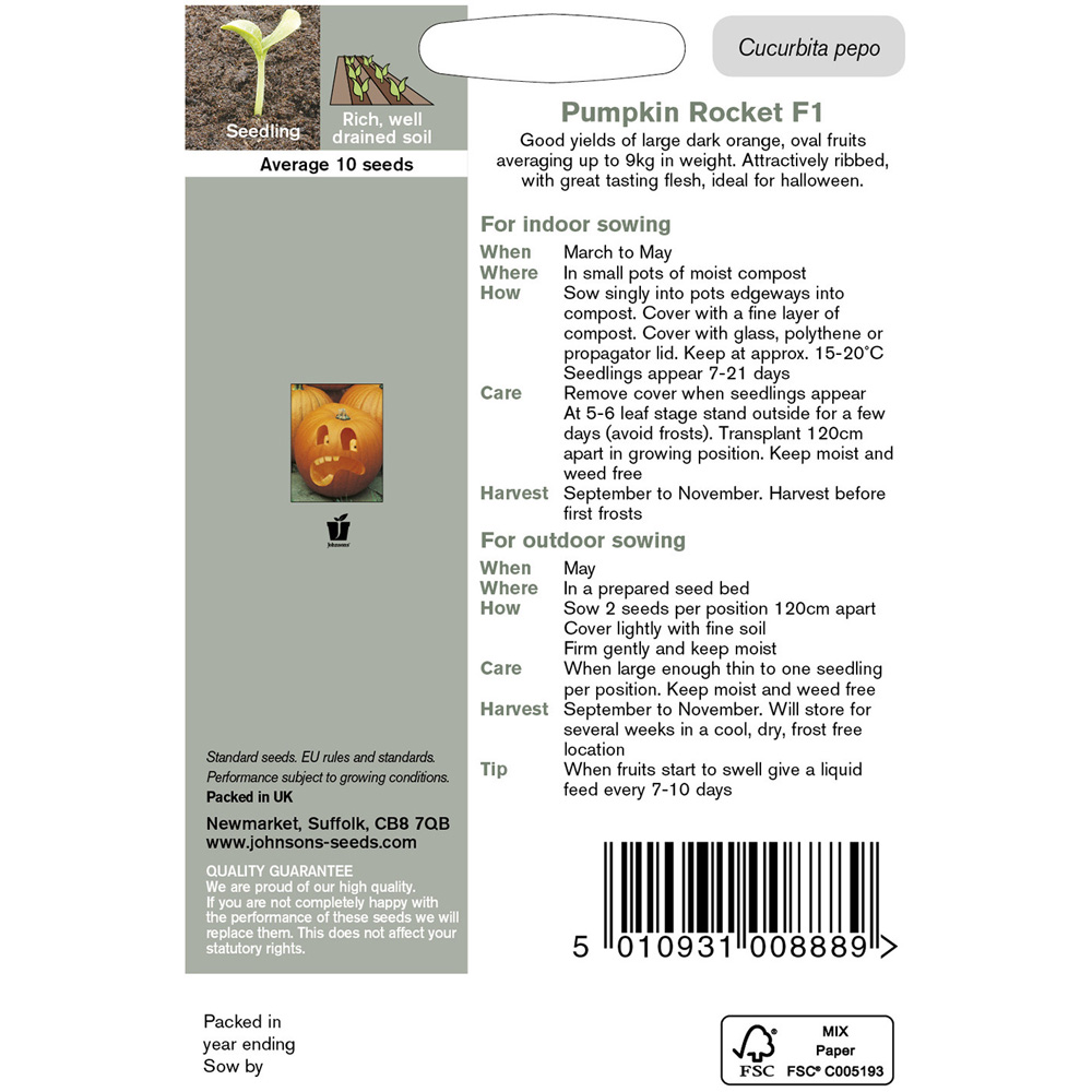 Johnsons Rocket F1 Pumpkin Seeds Image 3