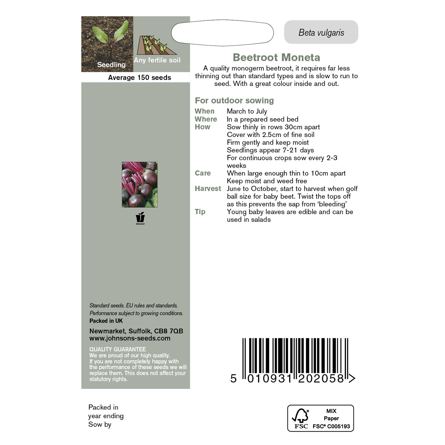 Johnsons Moneta Beetroot Seeds Image 3