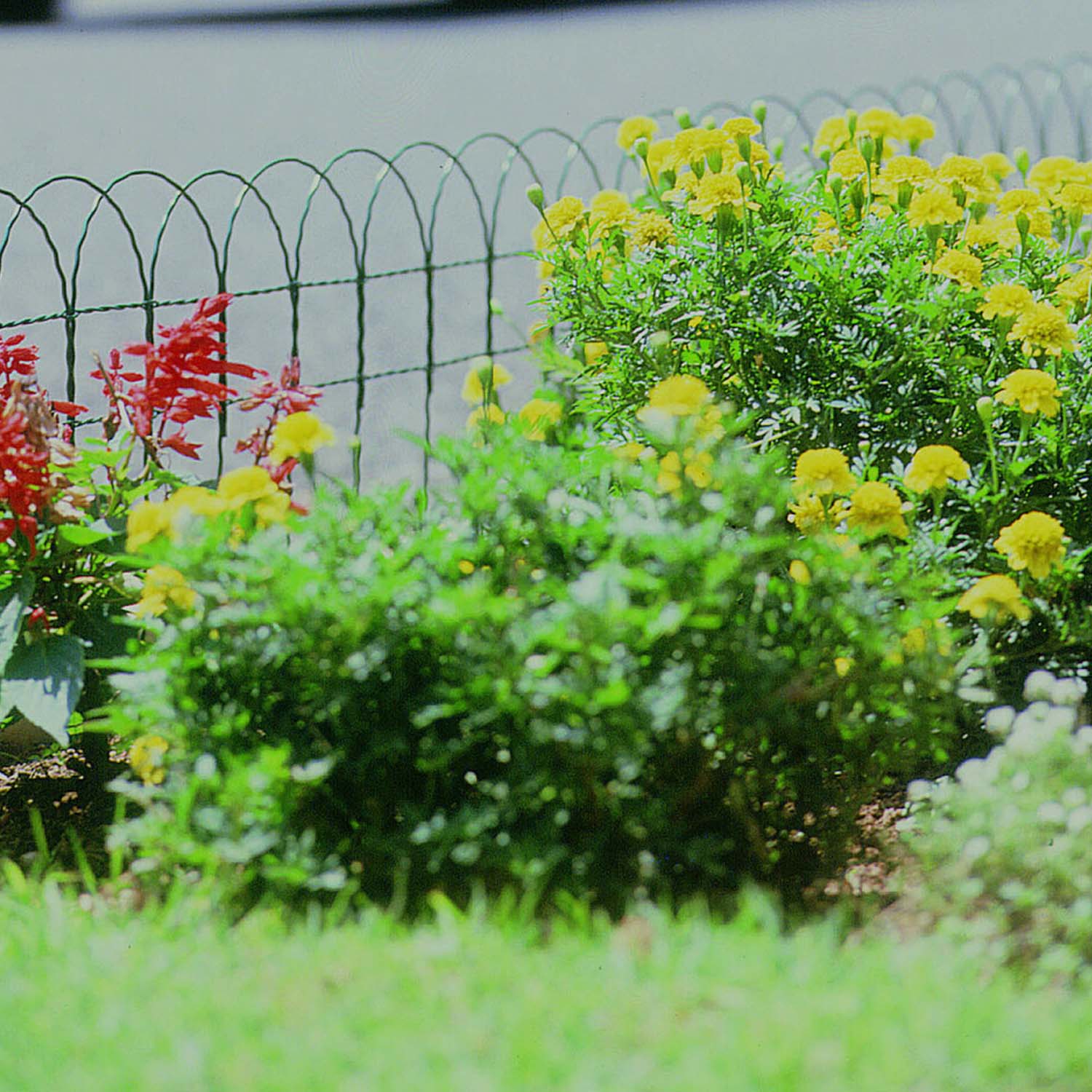 Apollo Gardening Green Plastic 40cm Border Fence   Image 2