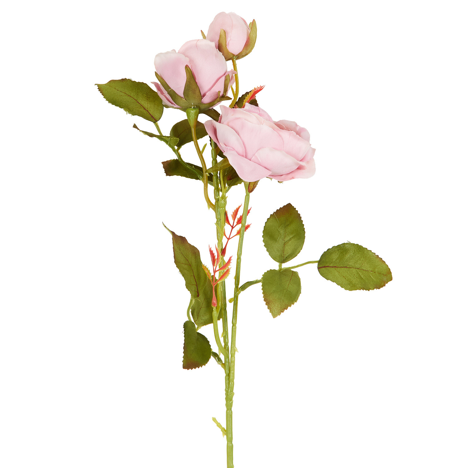 Alora Rose Stem  - Multicolour Image 6