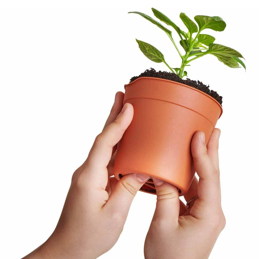 Clever Pots Mini Easy Release Propagation Pots 8 x 7cm 5 Pack Image 3