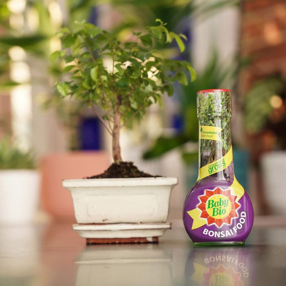 Baby Bio Bonsai Food Image 3