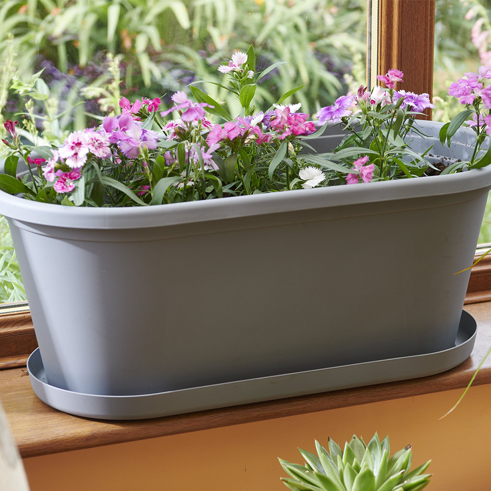 Clever Pots Grey Plastic 60cm Trough Tray Trough Image 6