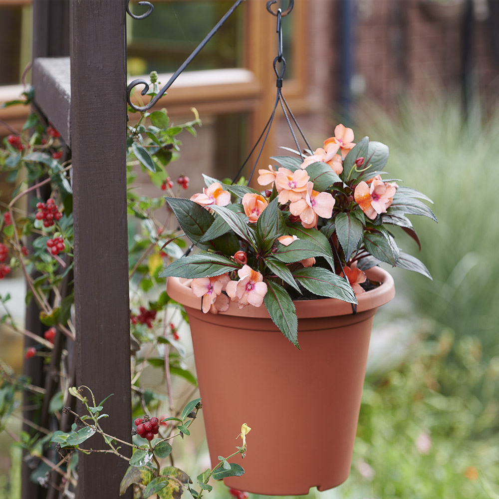 Clever Pots 30cm Round Pot Wire Hanger Image 5