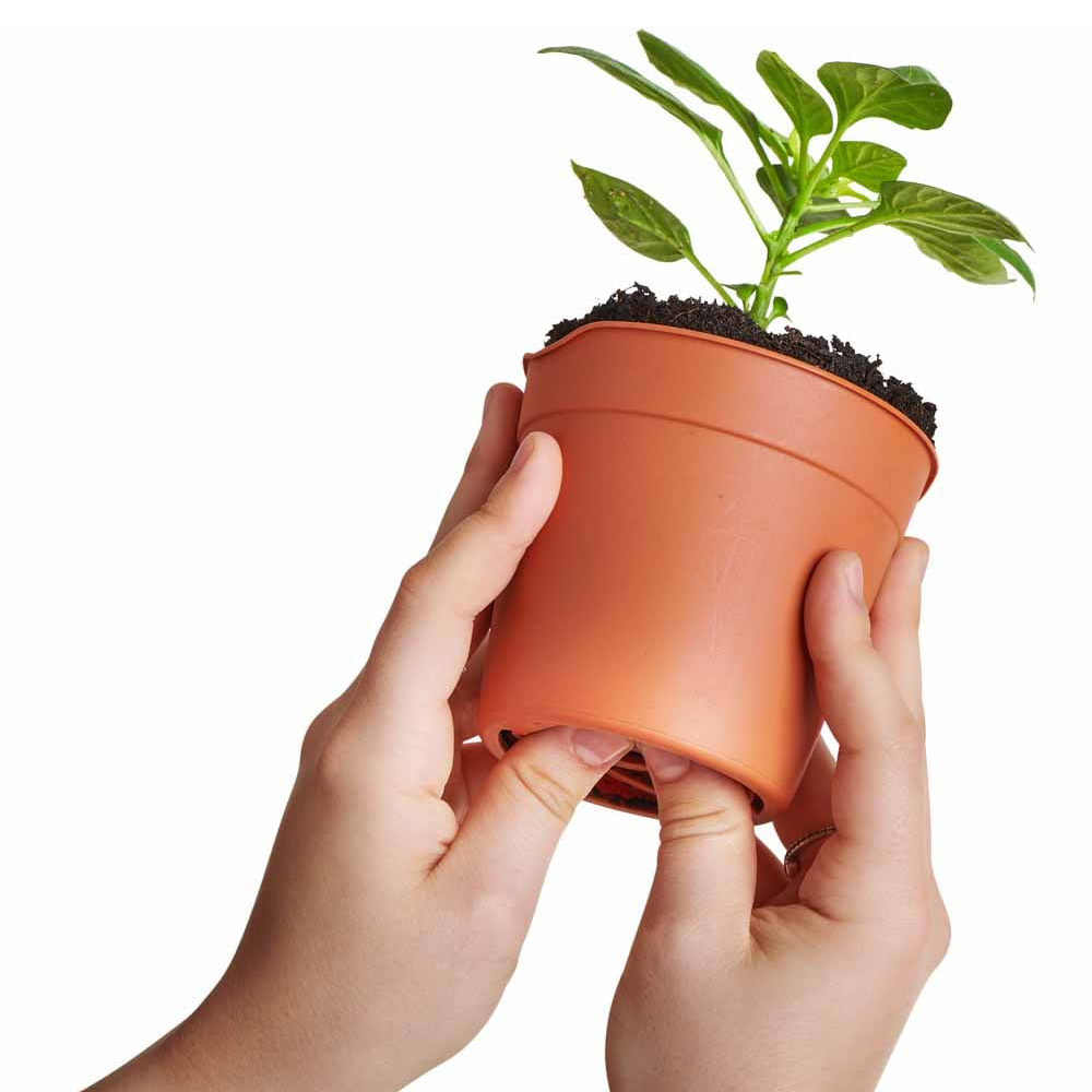 Clever Pots Large Easy Release Propagation Pots 15 x 13cm 5 Pack Image 3