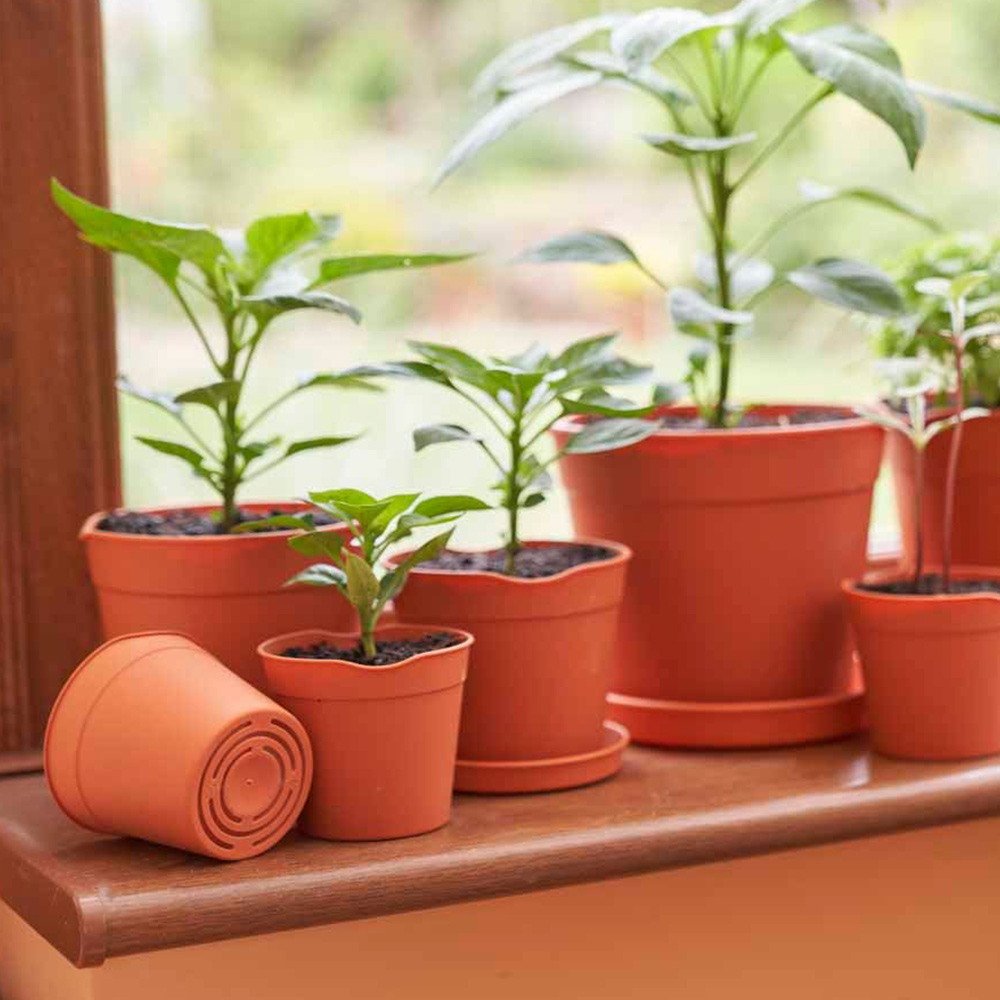 Clever Pots Medium and Large Easy Release Propagation Pots Saucers 5 Pack Image 3