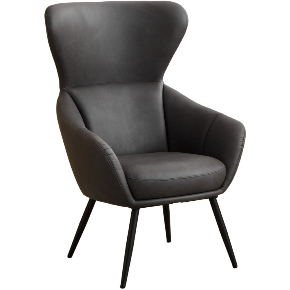 Furbo Graphite Accent Chair Image 2