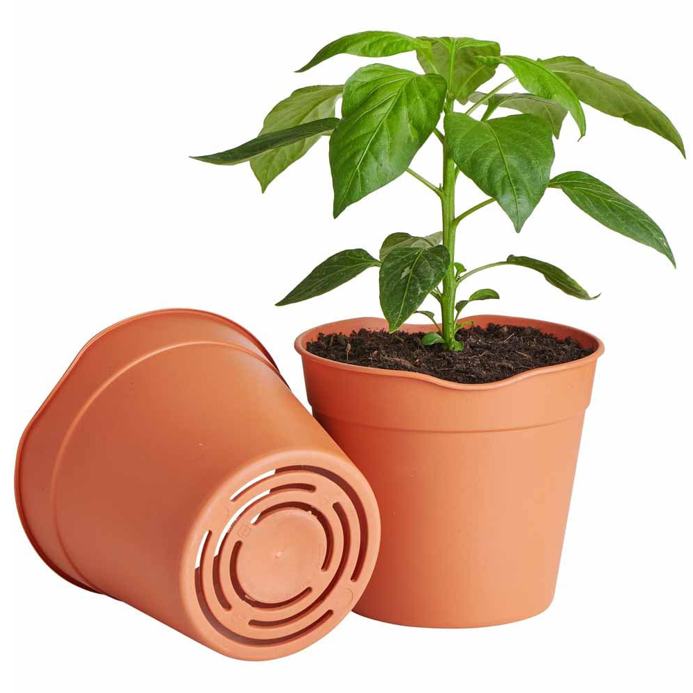 Clever Pots Medium Easy Release Propagation Pots 12 x 10.5cm 5 Pack Image 4