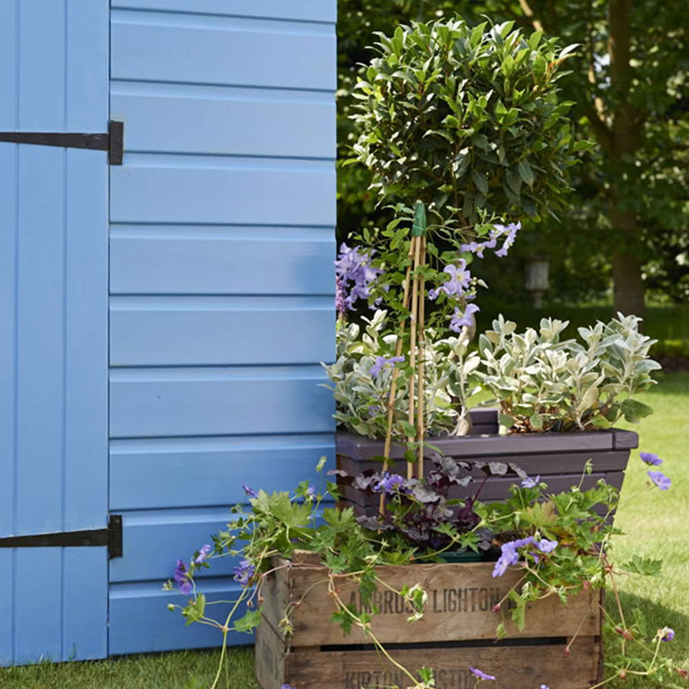 Cuprinol Garden Shades Forget Me Not Exterior Paint 2.5L Image 5