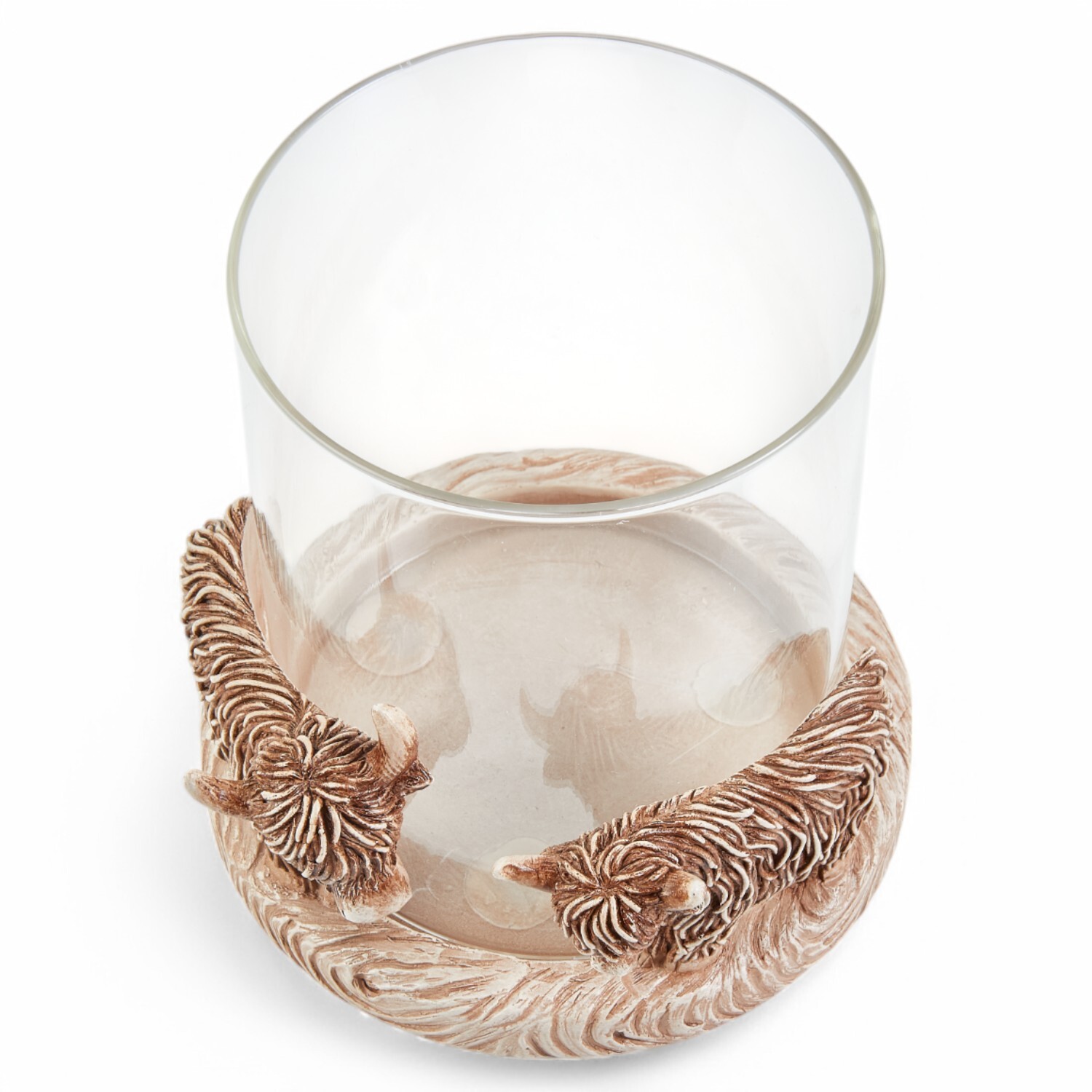 Highland Cow Hurricane Brown Image 3