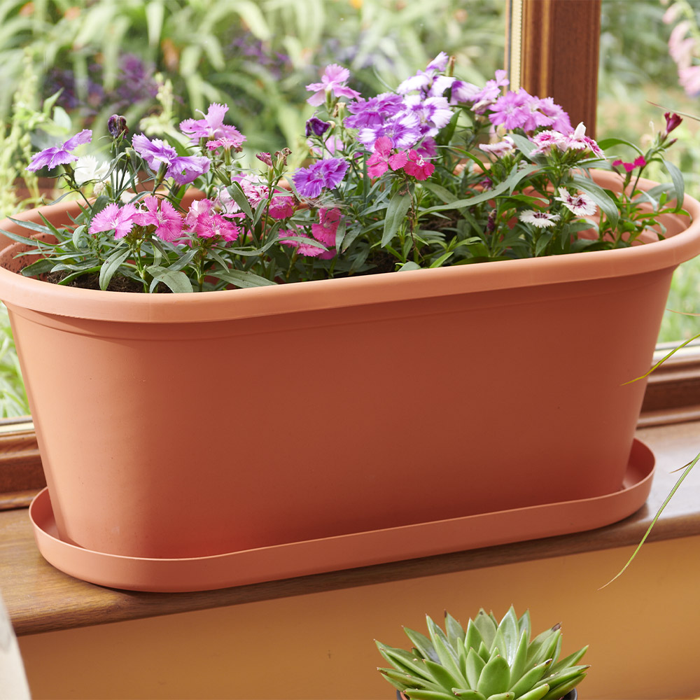 Clever Pots Terracotta Plastic 60cm Trough Tray 60cm Trough Image 8