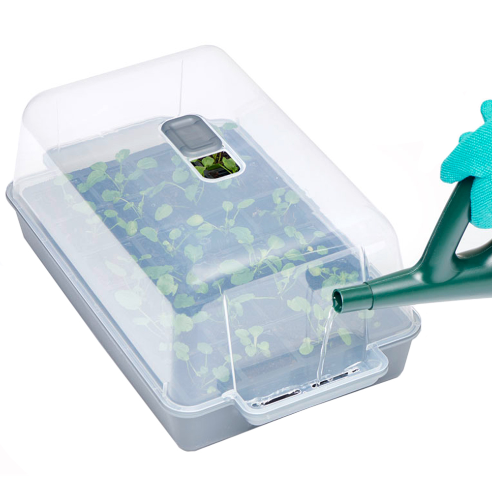 Clever Pots Easy Water Propagator Lid Image 3