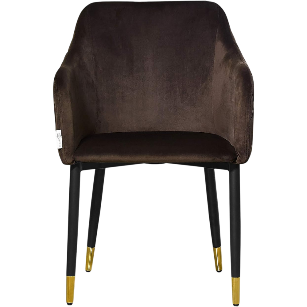 Life Interiors Verona Brown and Gold Velvet Upholstered Dining Chair Image 2
