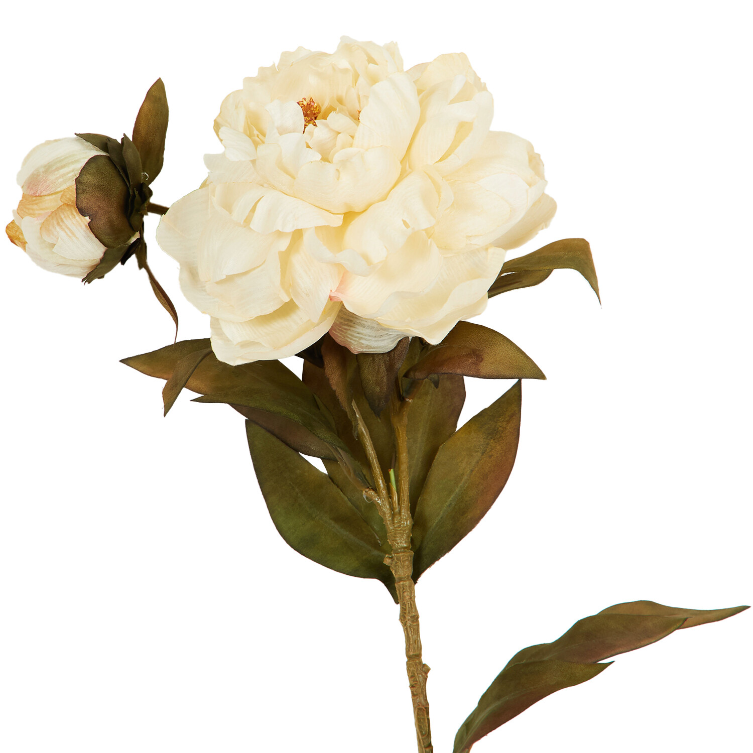 Open Peony - White or Pink Image 3