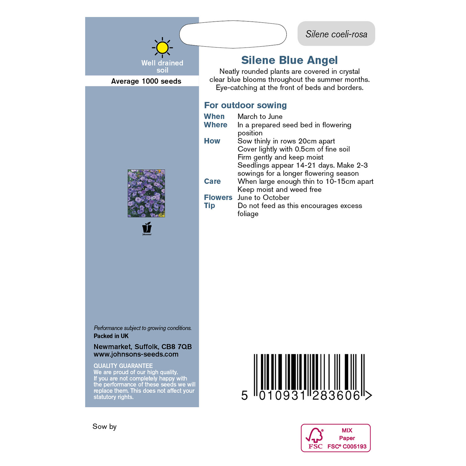 Johnsons Silene Blue Angel Flower Seeds Image 3