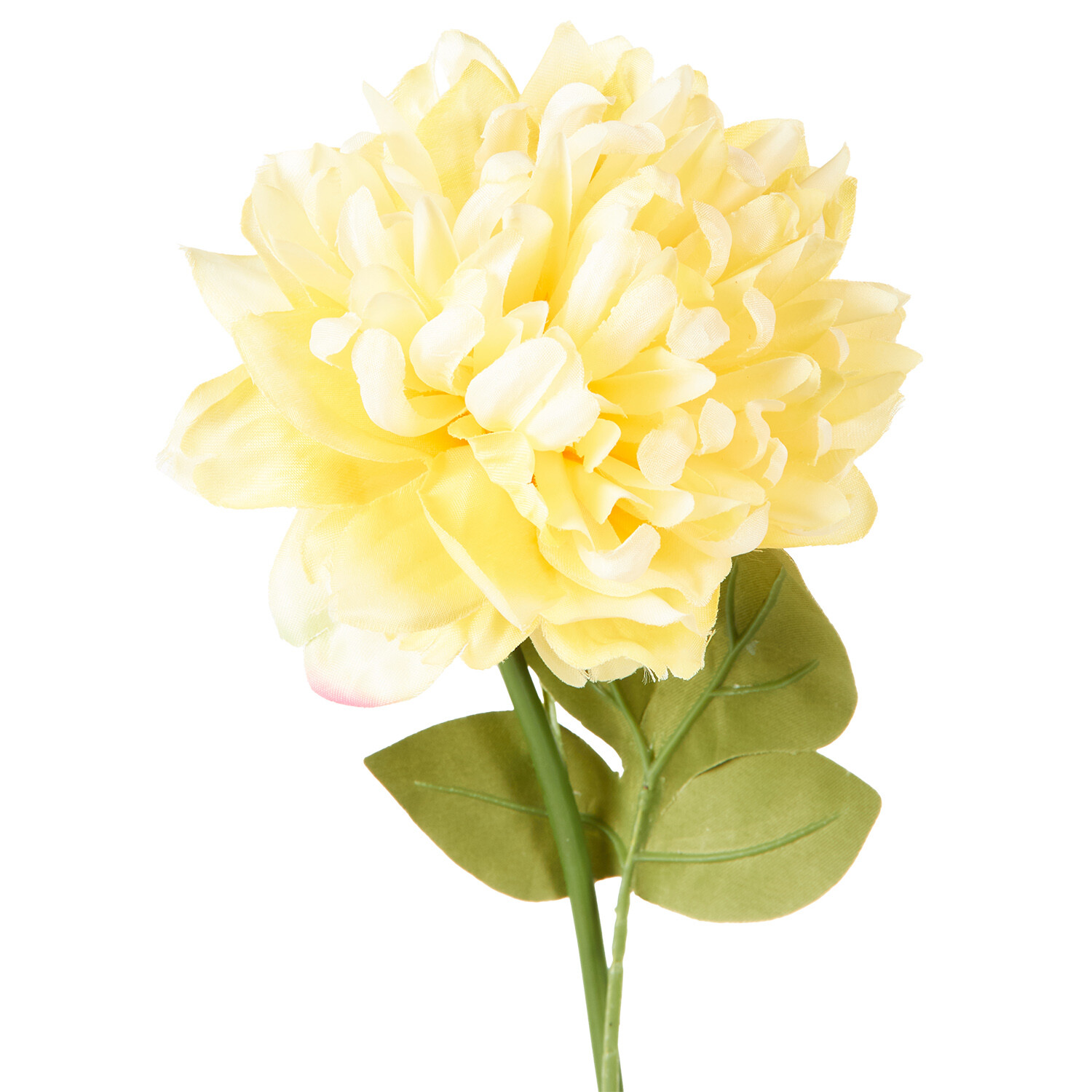 Assorted Pom Stem  - Yellow or Cream Image 5