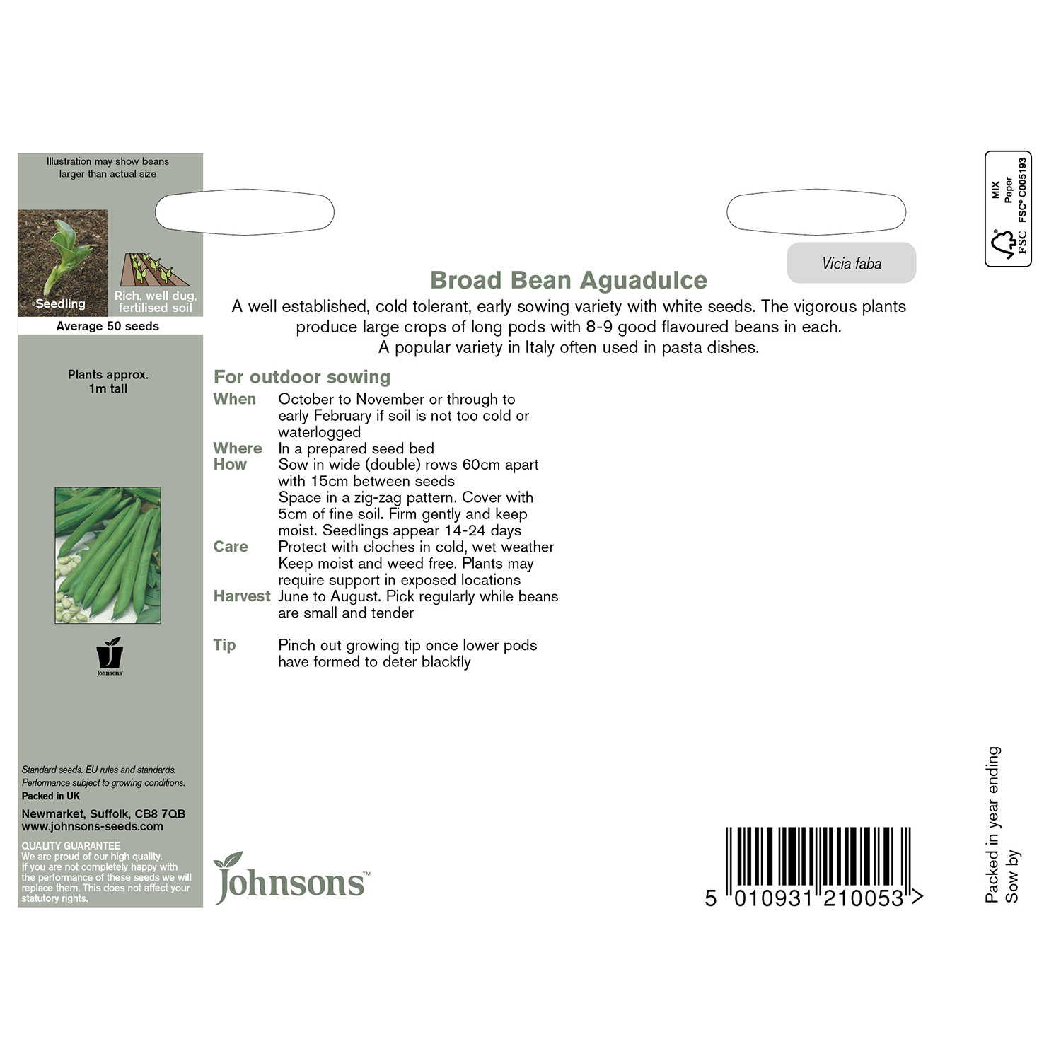 Johnsons Aguadulce Broad Bean Seeds Image 3