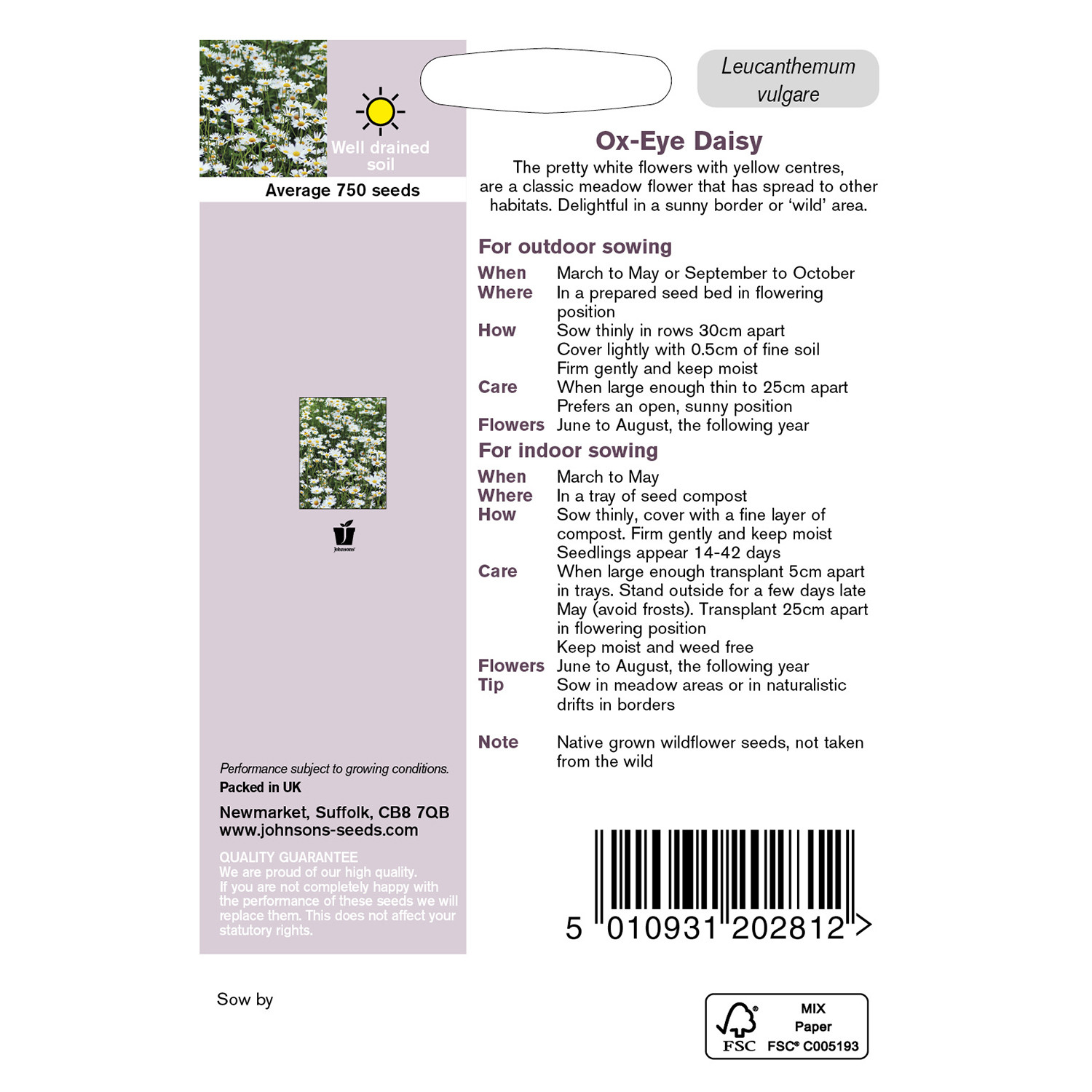 Johnsons Ox-Eye Daisy Wildflower Seeds Image 3