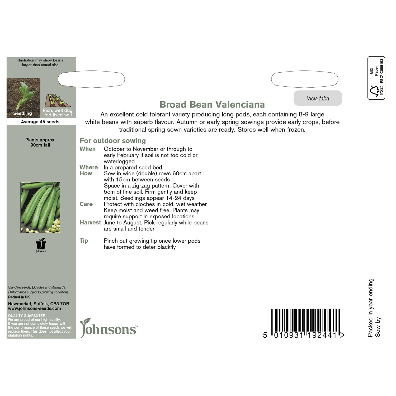 Johnsons Valenciana Broad Bean Seeds Image 3