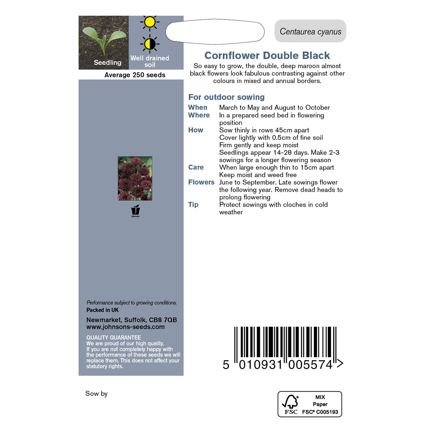 Johnsons Pack of Cornflower Double Black Seeds Image 2