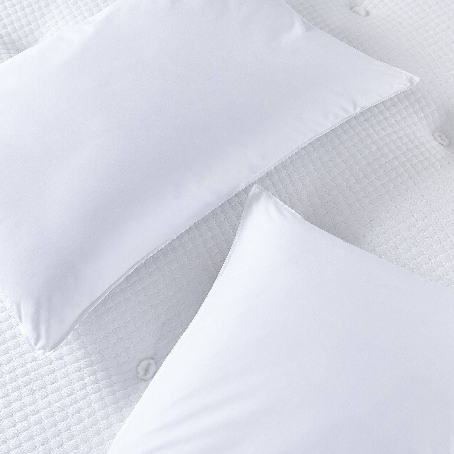 Silentnight The Luxury Collection Pure Cotton Pillow 2 Pack Image 4