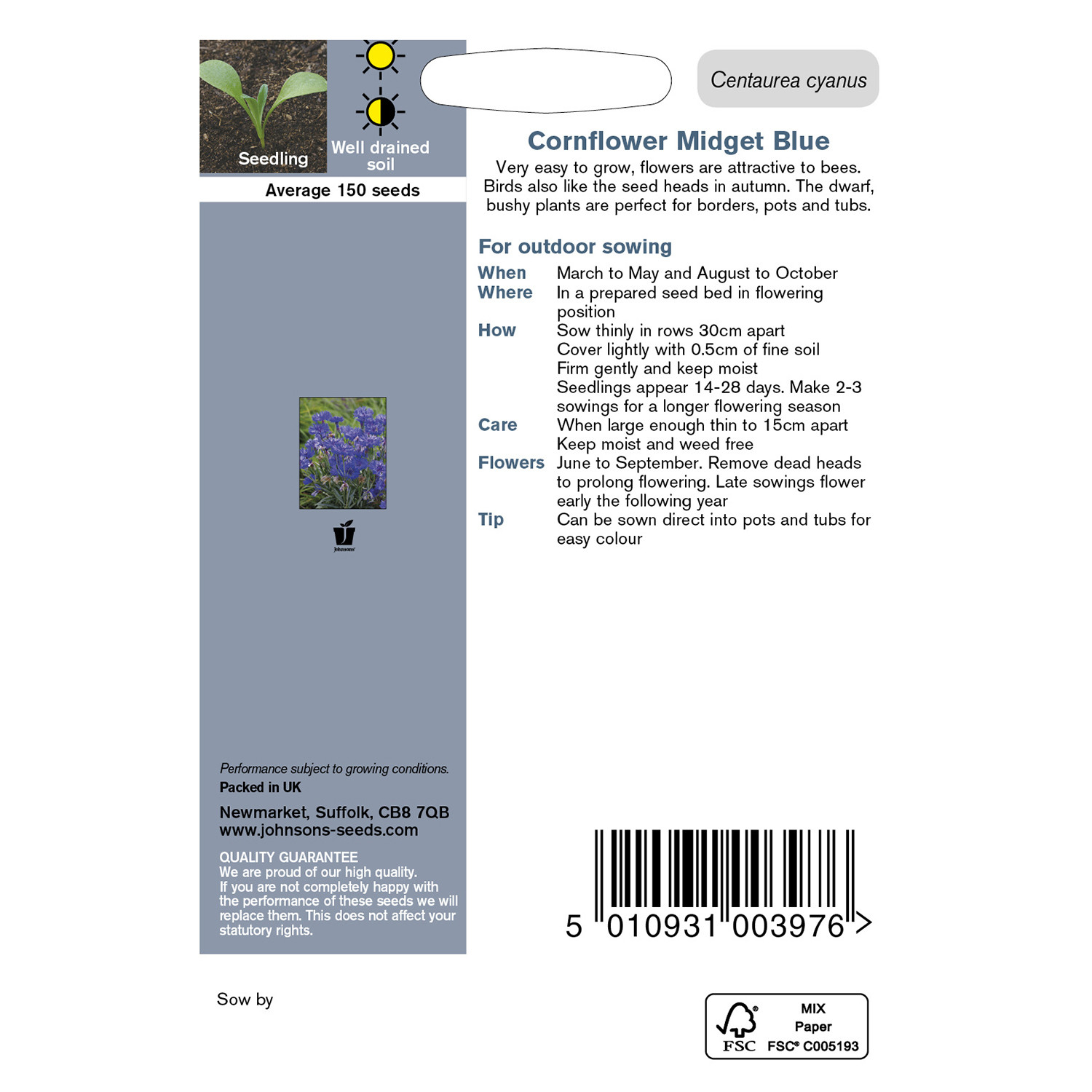 Johnsons Cornflower Midget Blue Flower Seeds Image 3