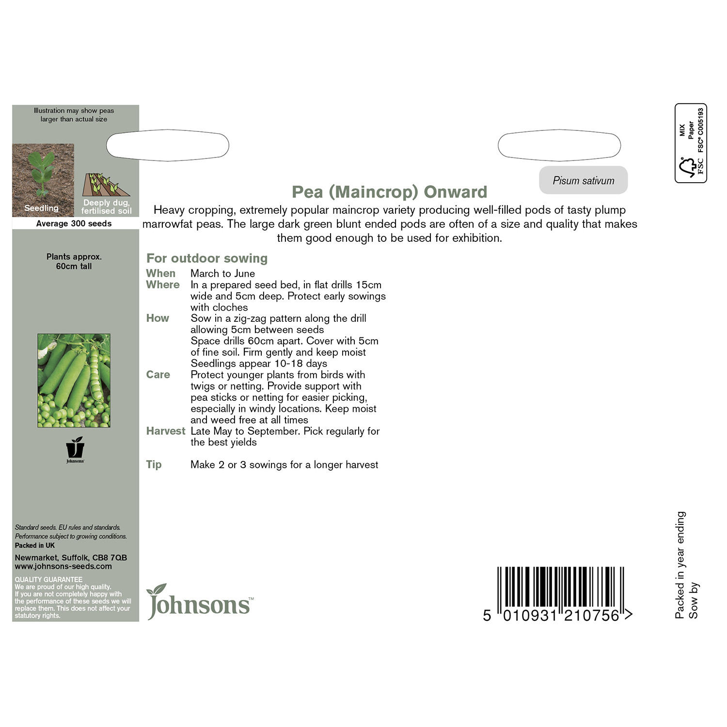 Johnsons Onward Pea Seeds Image 3