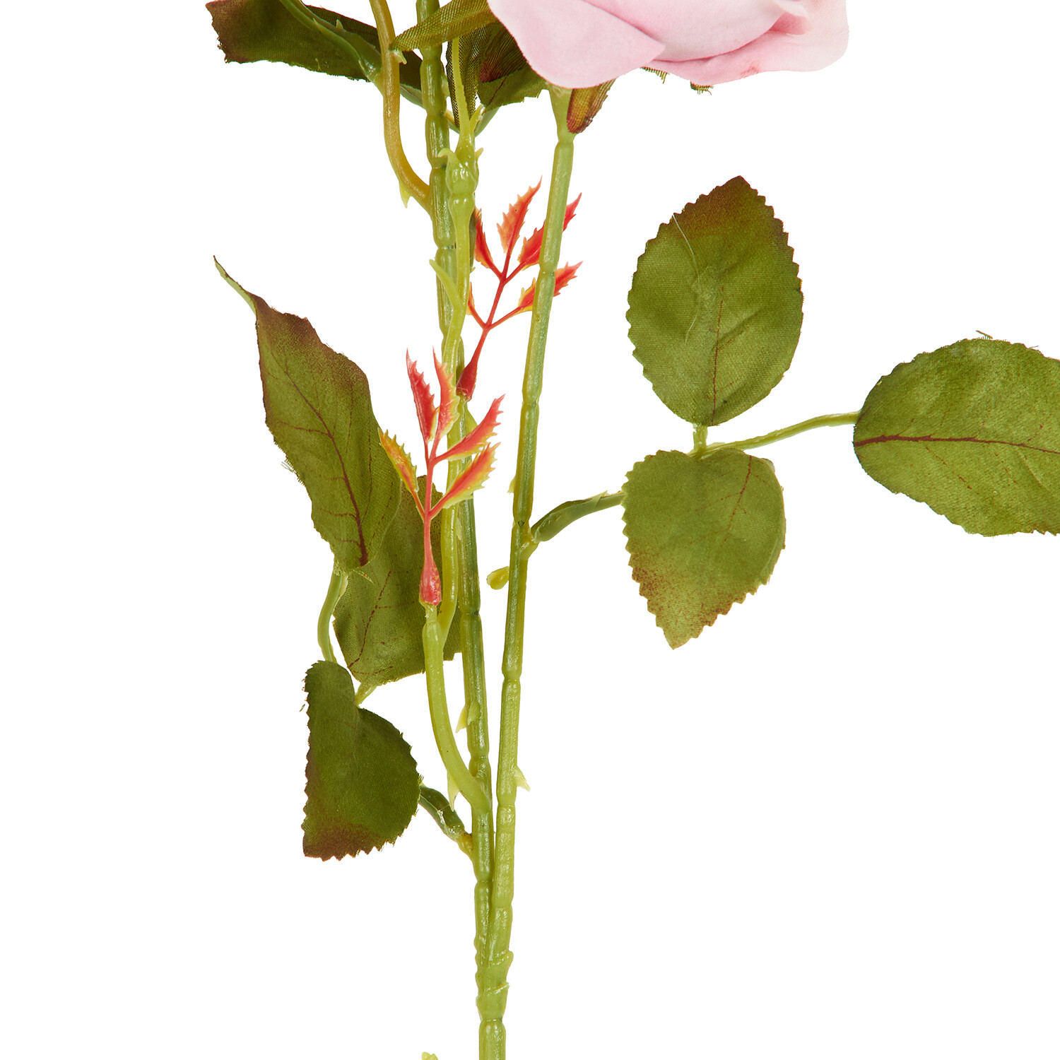 Alora Rose Stem  - Multicolour Image 9