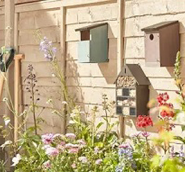 Birds &amp; Wildlife