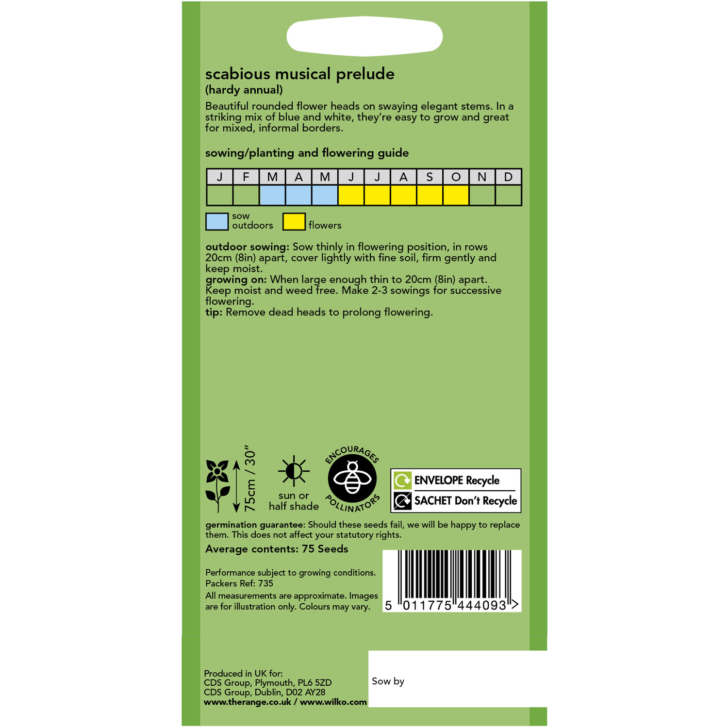 Scabious Musical Prelude Seeds Purple and White Image 2