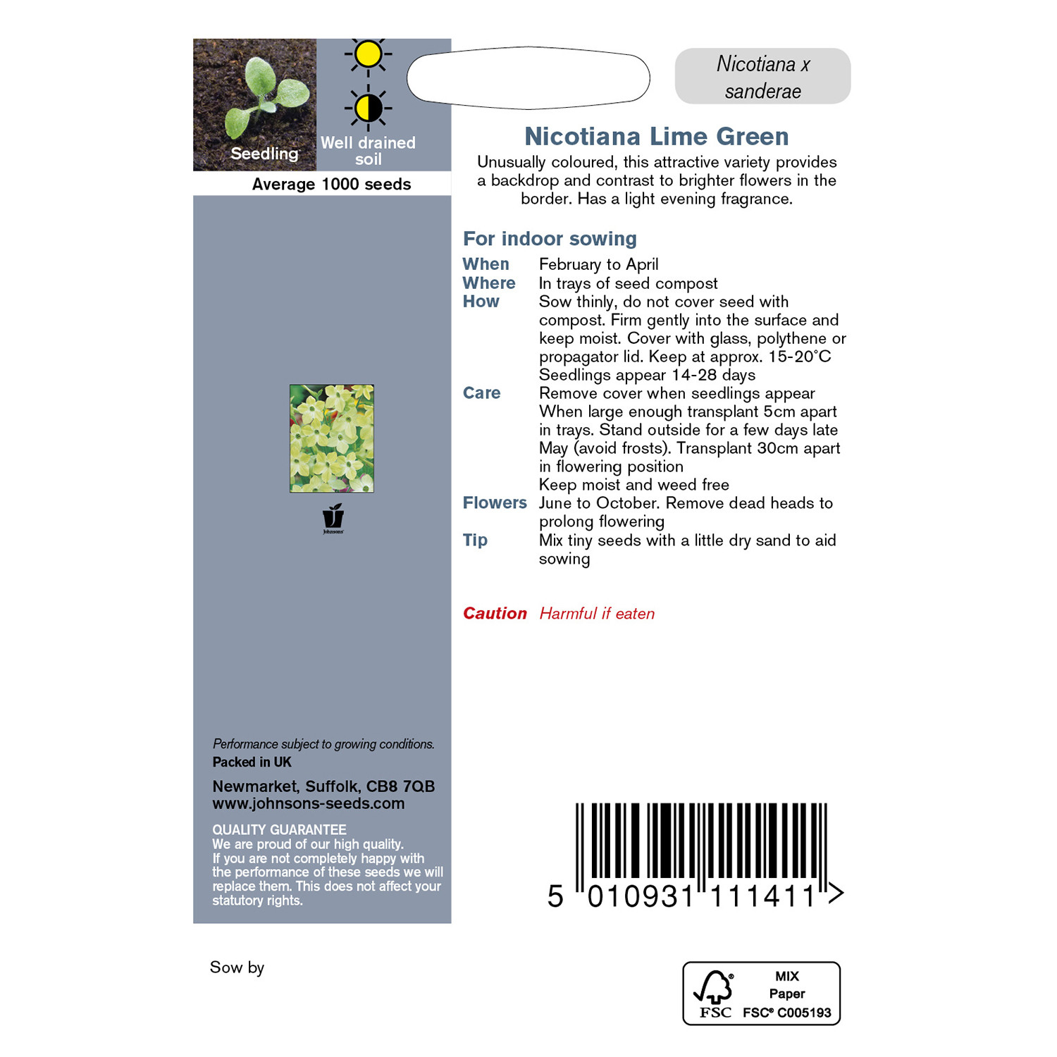 Johnsons Nicotiana Lime Green Flower Seeds Image 3