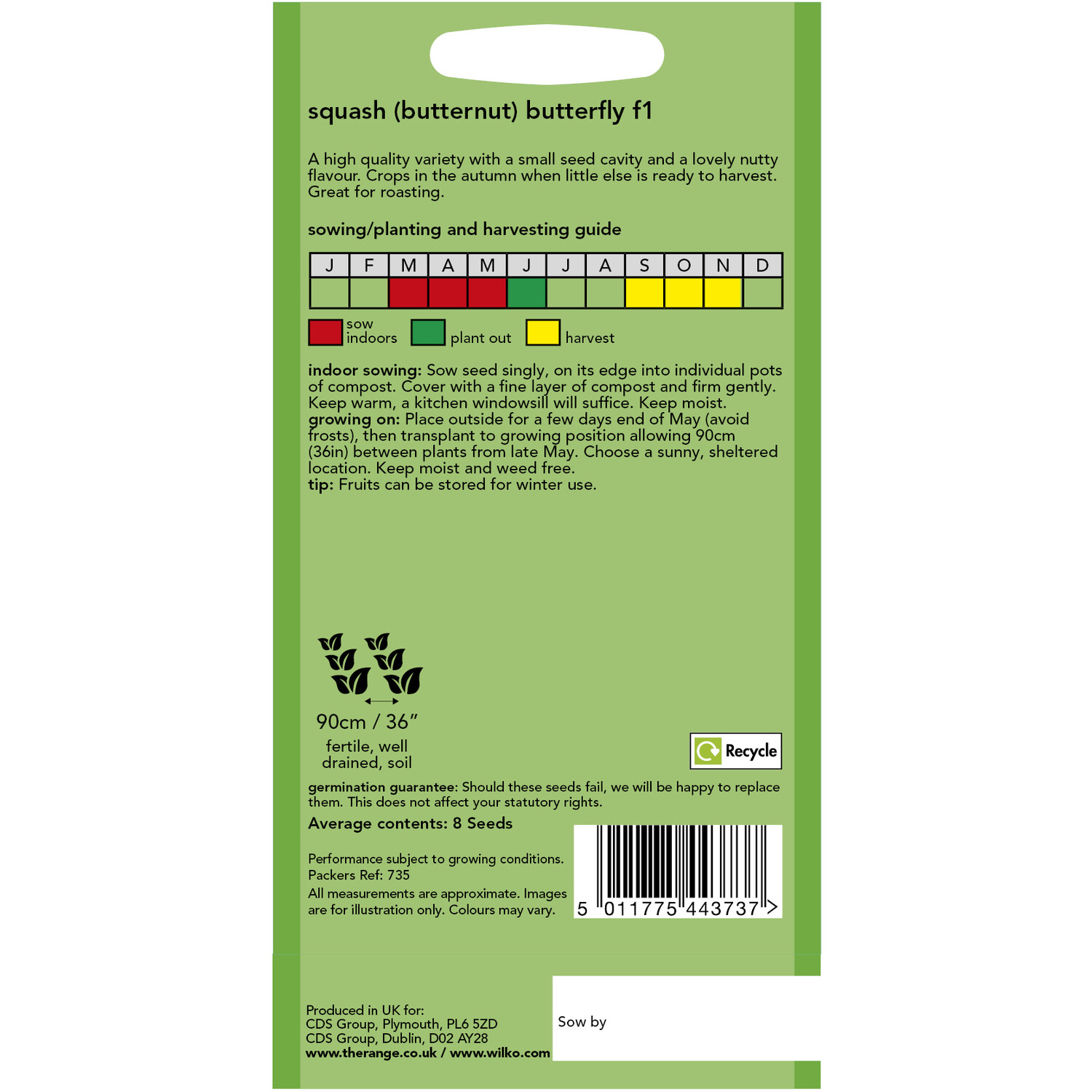 Squash Butternut Butterfly F1 Seeds Orange Image 2