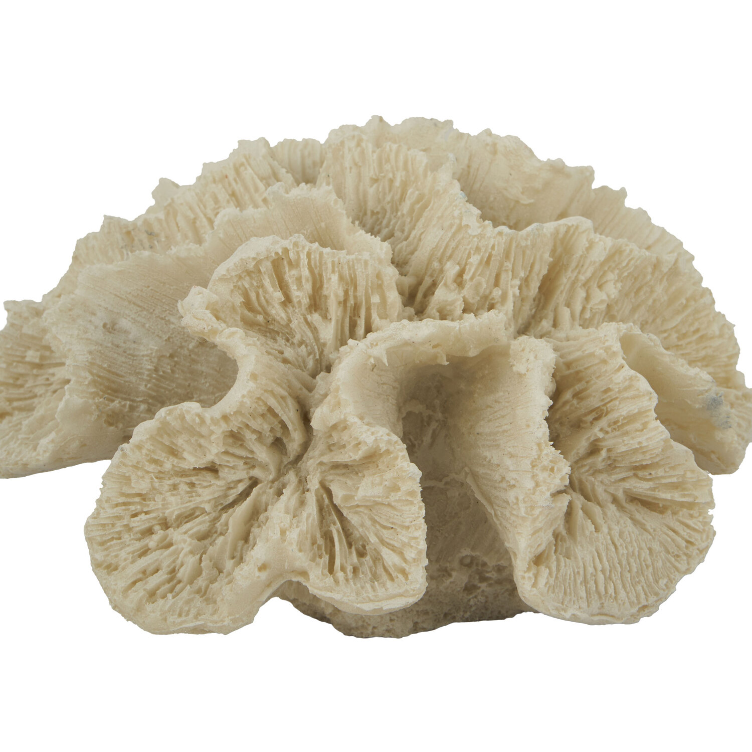 Coral Ornament - Natural Image 3