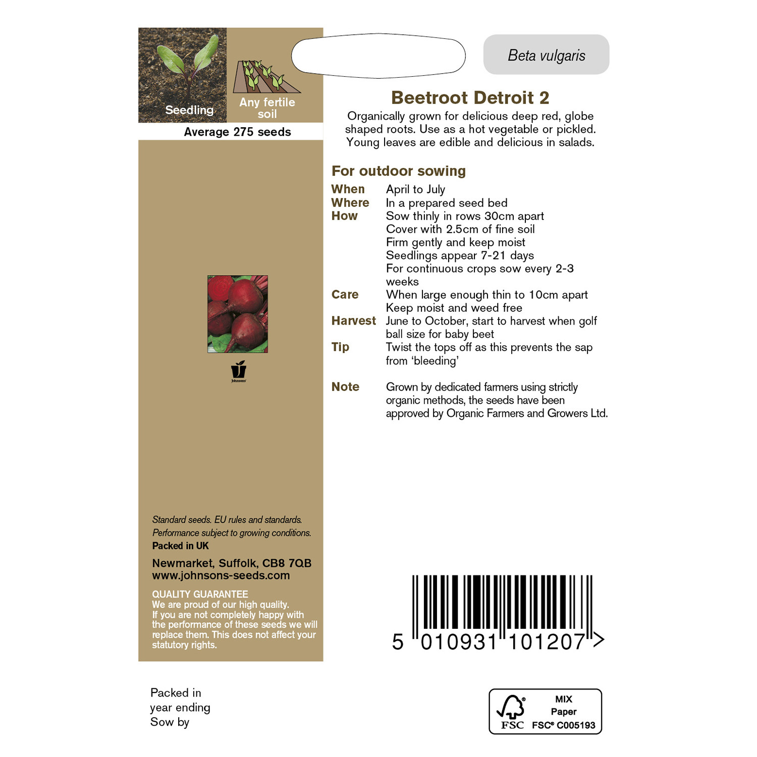 Johnsons Organic Detroit Beetroot Seeds Image 3