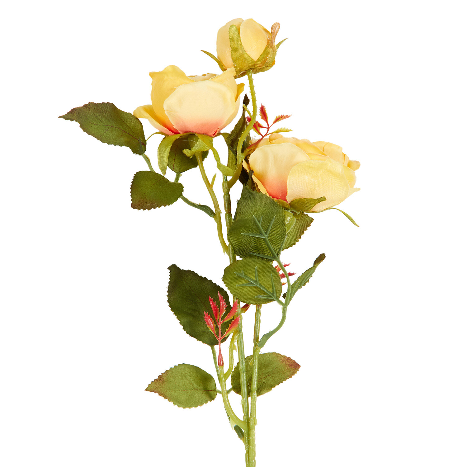 Alora Rose Stem  - Multicolour Image 5