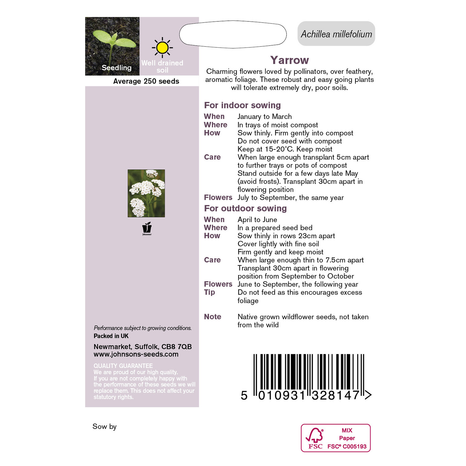 Johnsons Yarrow Image 2