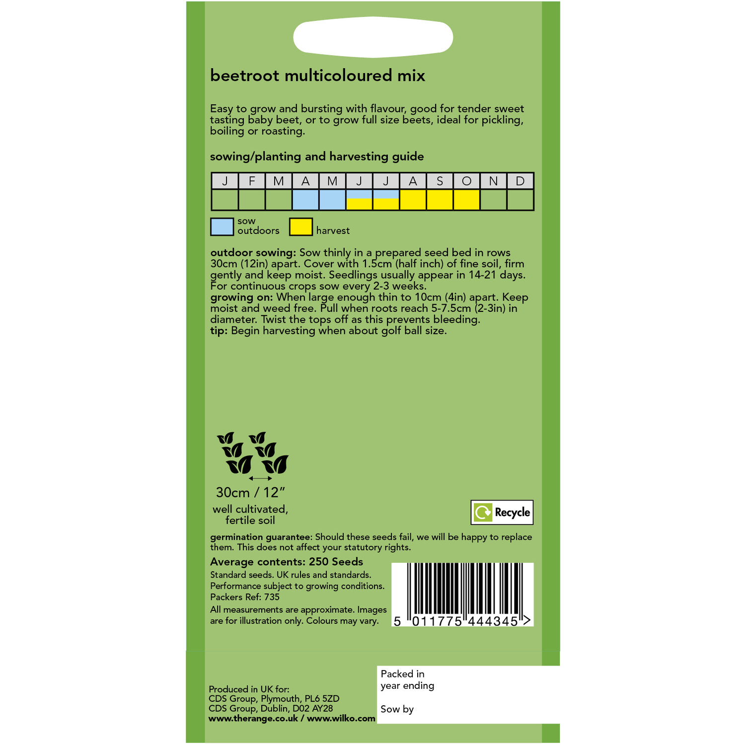 Beetroot Multicoloured Seeds Multicolour Image 2