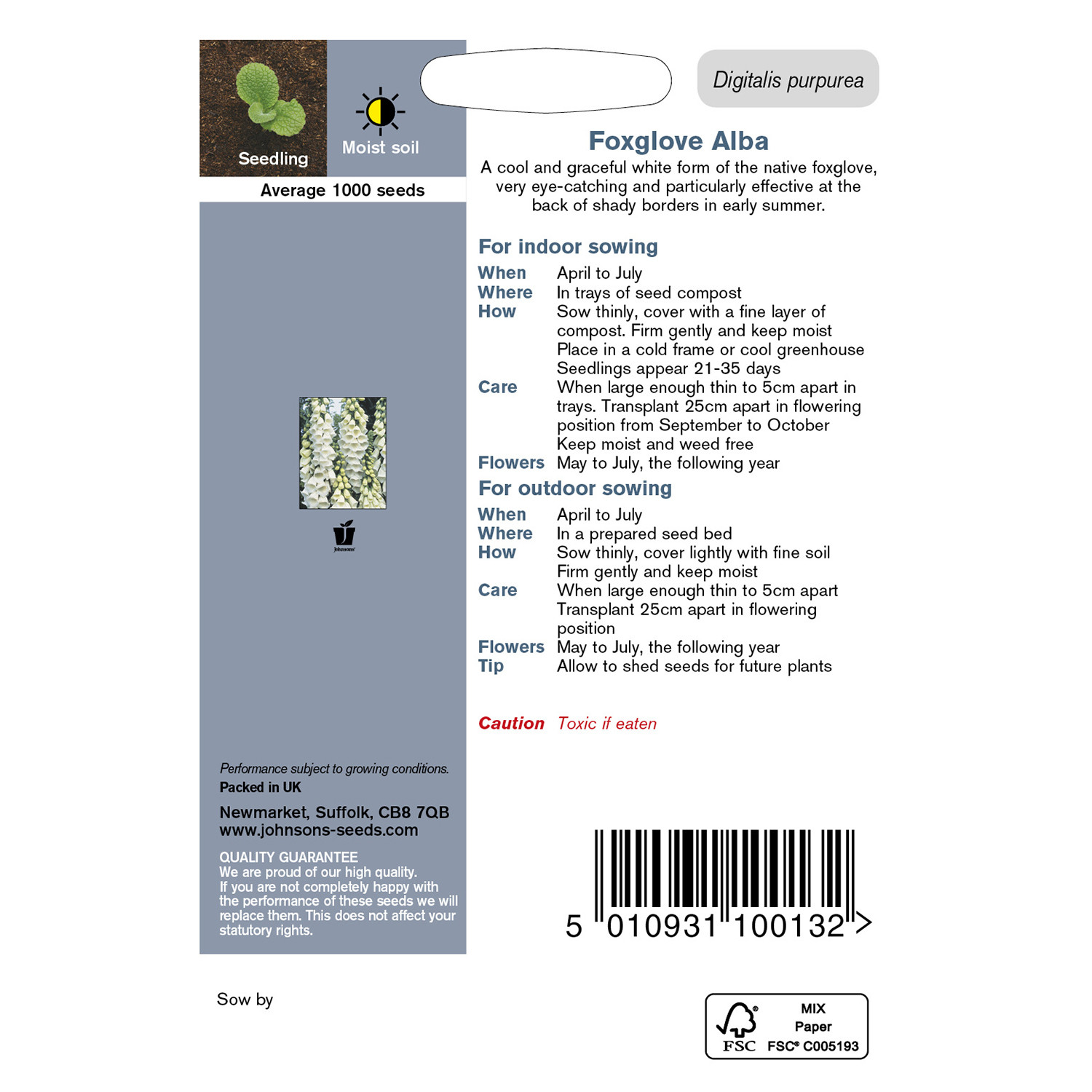Johnsons Foxglove Alba Flower Seeds Image 3