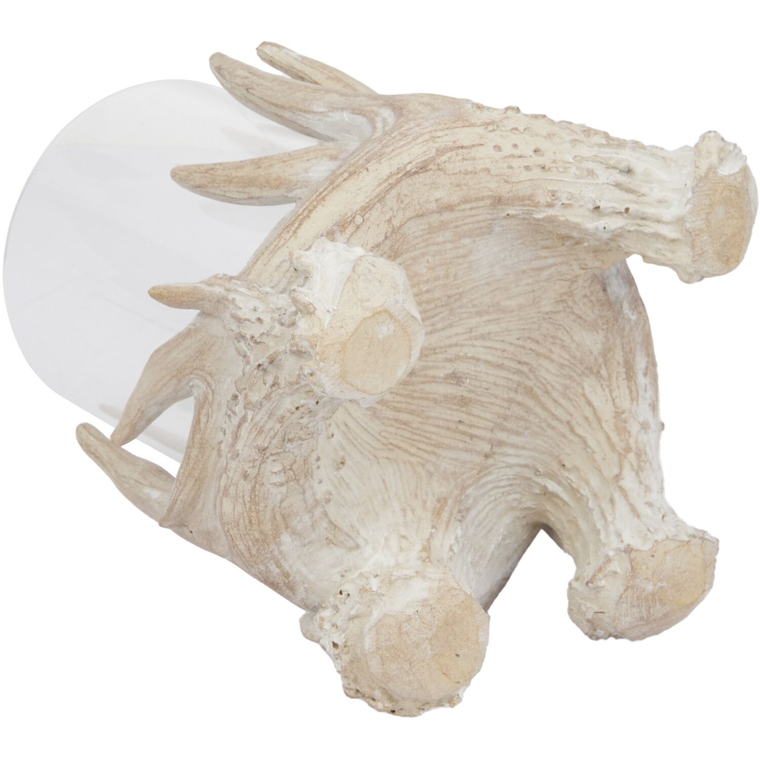 Natural Antler Candle Holder - Natural Image 4