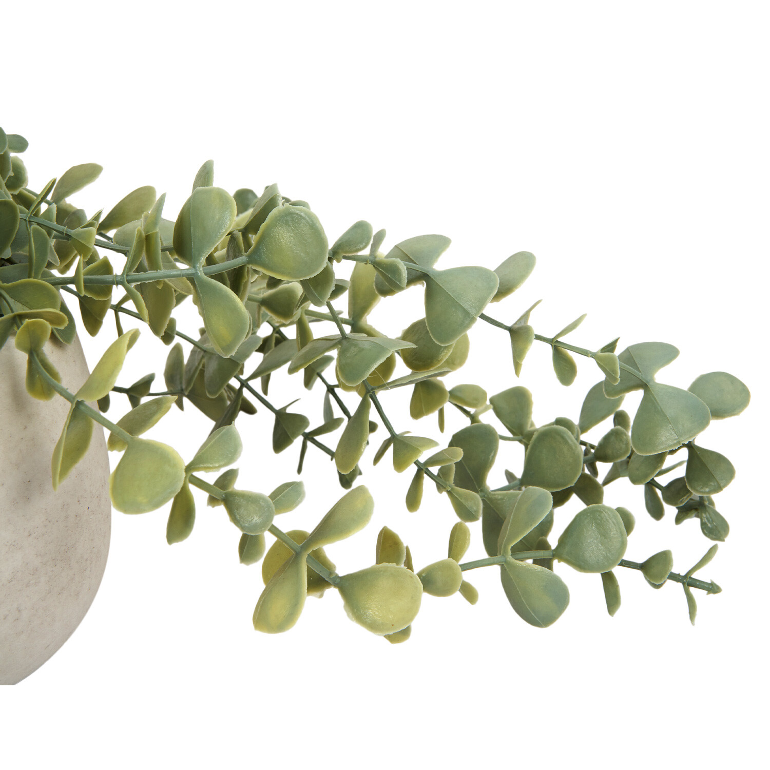 Trailing Eucalyptus in Wash Pot - Green Image 2