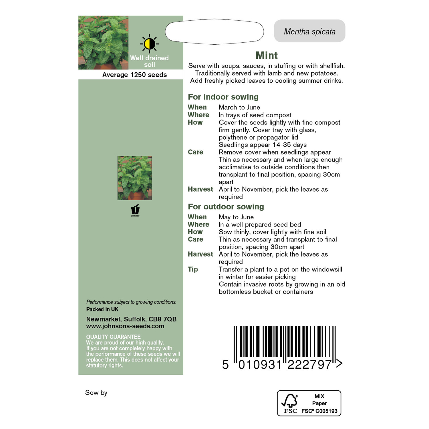 Johnsons Mint Herb Seeds Image 3