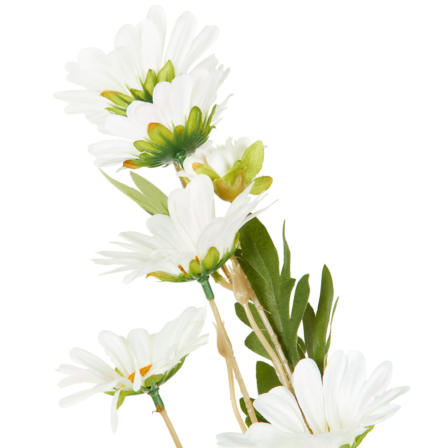 Yellow or Ivory Daisy Spray - Yellow or Ivory Image 5