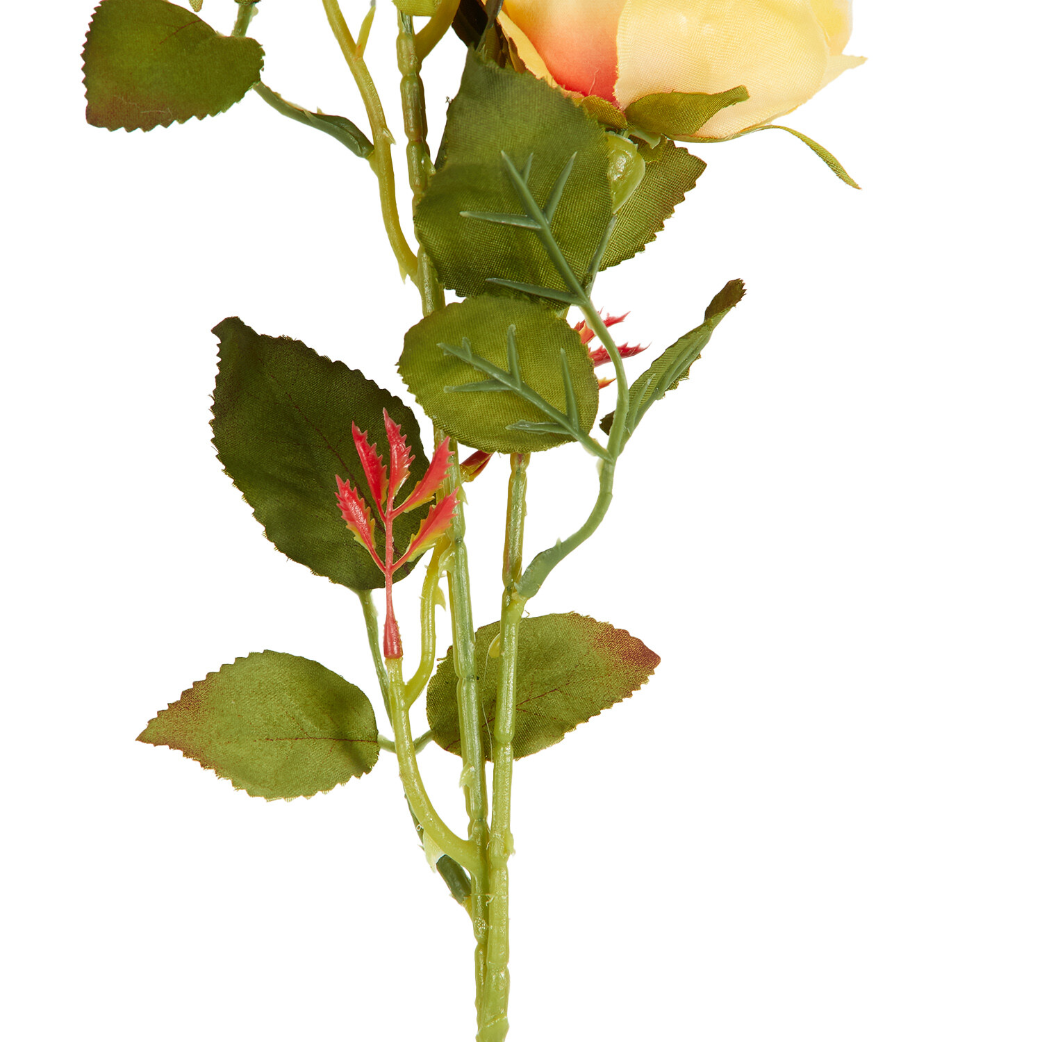 Alora Rose Stem  - Multicolour Image 8