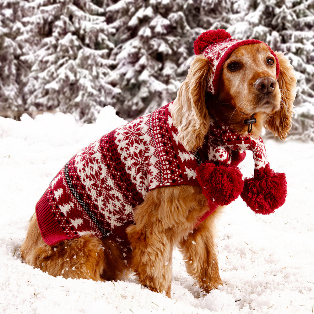 Fair Isle Dog Jumper XL Image 2