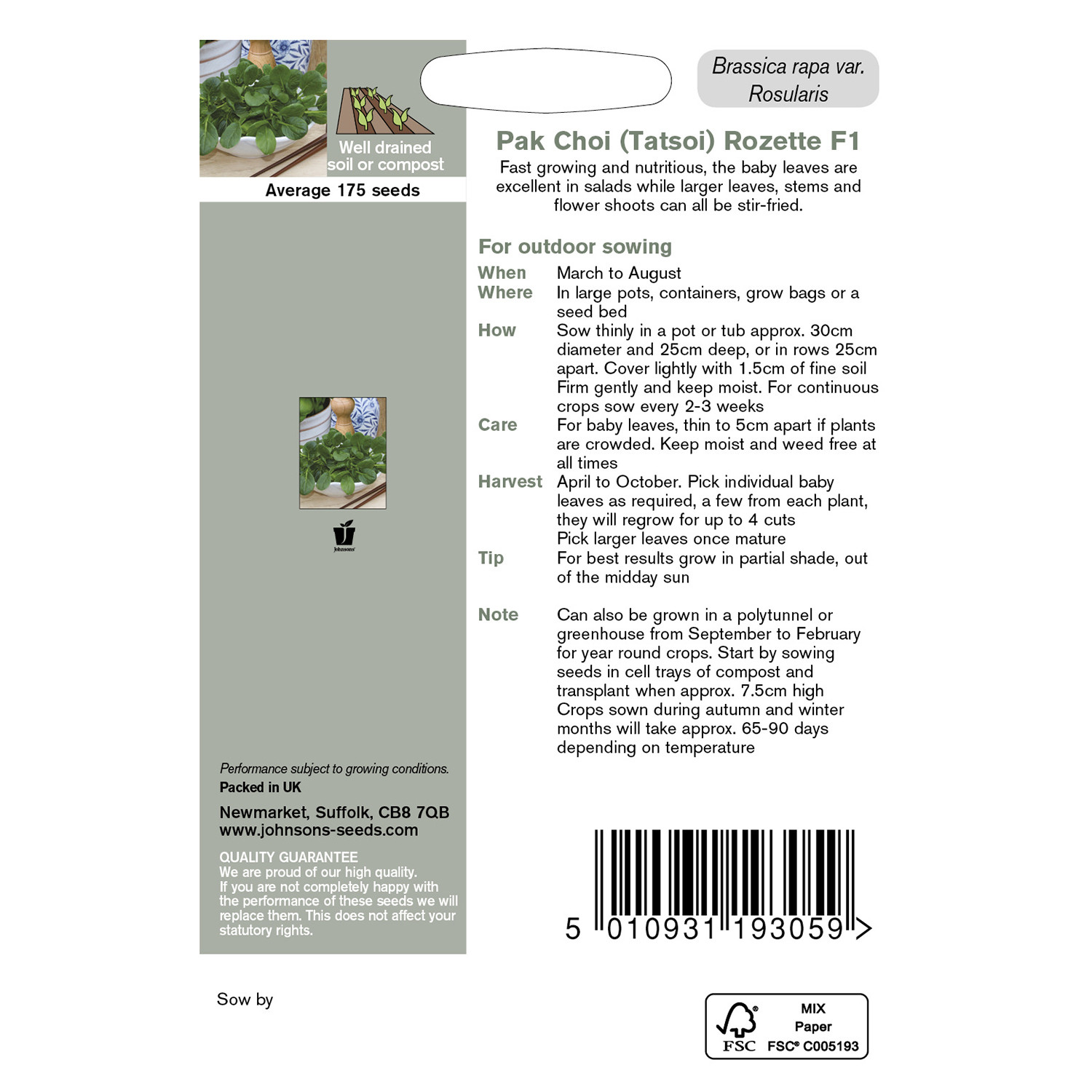 Johnsons Rozette F1 Tatsoi Pak Choi Seeds Image 3