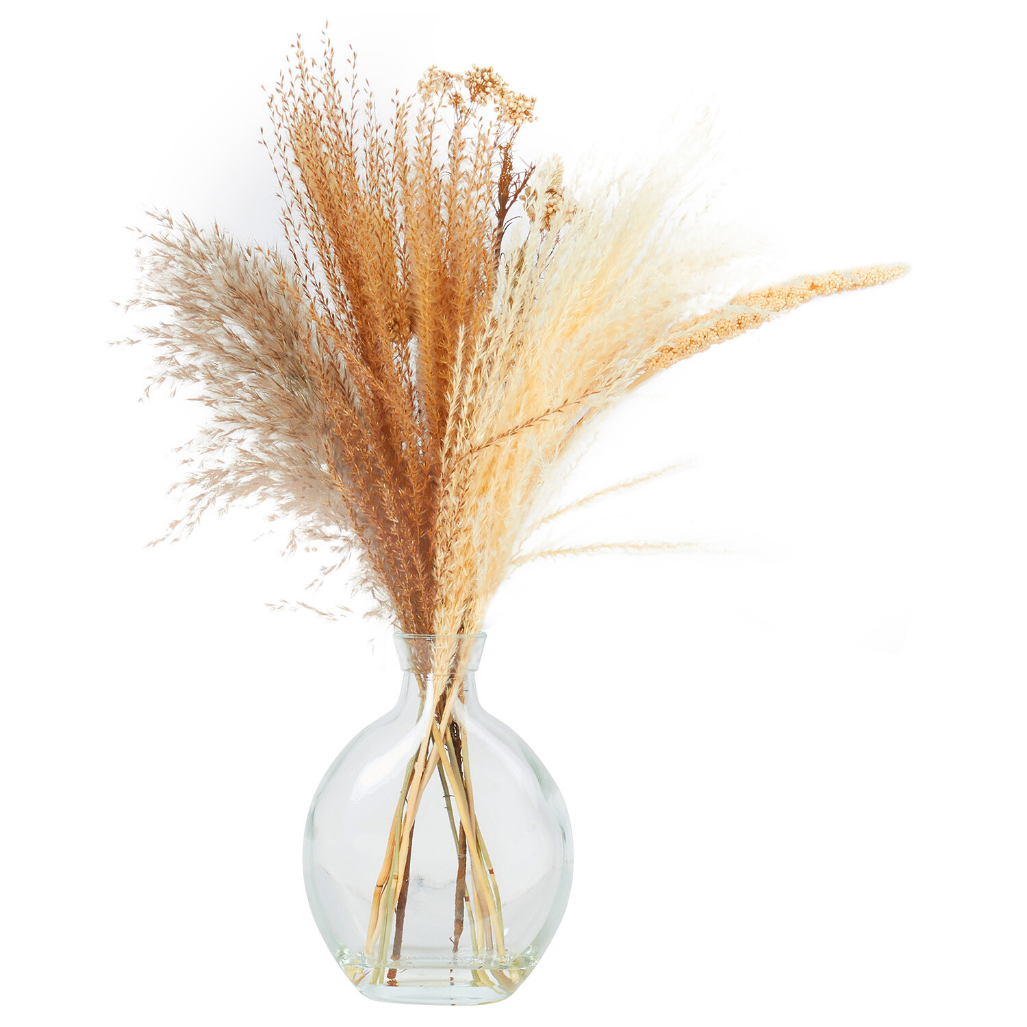 Dried Floristry Vase Arrangement Image 2