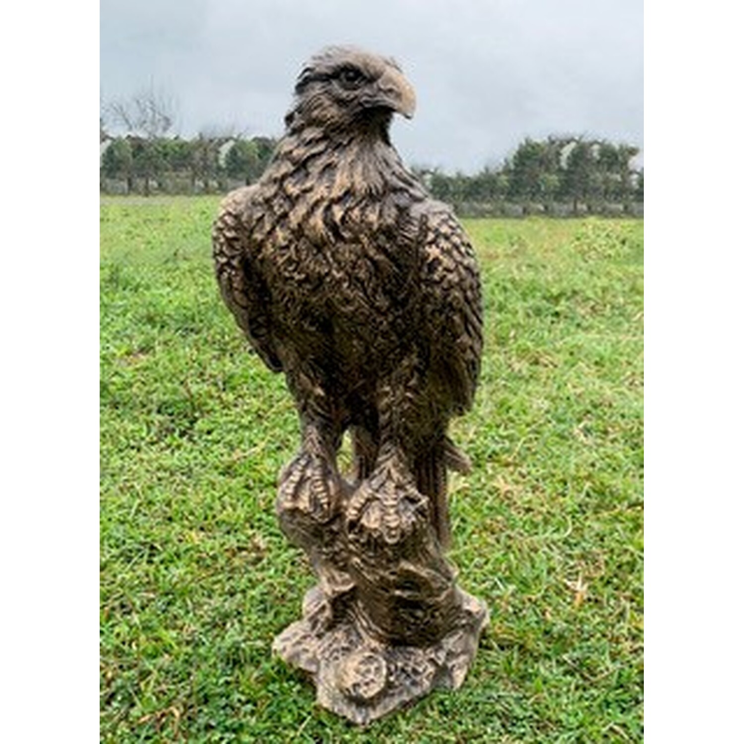 Bronze Eagle Statue Image 2